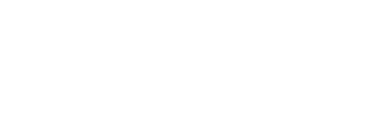 dettaglio